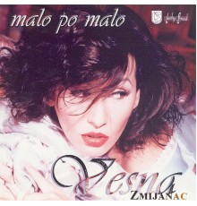 Vesna Zmijanac - Malo po malo