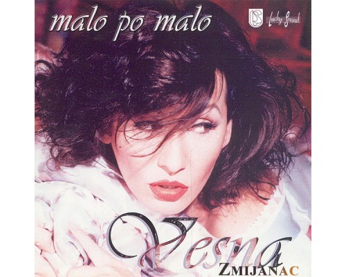 Vesna Zmijanac - Malo po malo