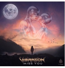 Vibration - Miss You