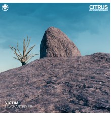 Victim - Uncharted EP