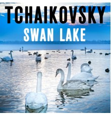 Victor Fedotov & The Mariinsky Theatre Symphony Orchestra - Tchaikovsky Swan Lake