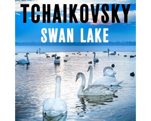 Victor Fedotov & The Mariinsky Theatre Symphony Orchestra - Tchaikovsky Swan Lake Victor Fedotov & The Mariinsky Theatre Symphony Orchestra - Tchaikovsky Swan Lake