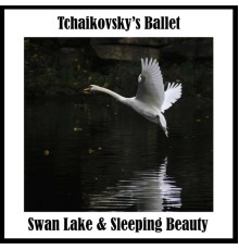 Victor Fedotov & The Mariinsky Theatre Symphony Orchestra - Tchaikovsky's Ballet: Swan Lake & Sleeping Beauty