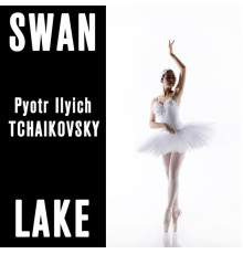 Victor Fedotov & The Mariinsky Theatre Symphony Orchestra - Swan Lake