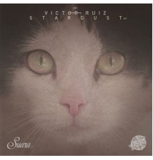 Victor Ruiz - Stardust