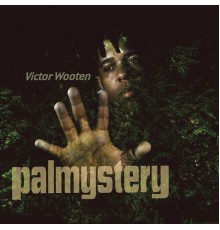 Victor Wooten - Palmystery