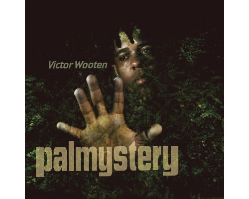 Victor Wooten - Palmystery