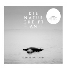 Vierkanttretlager - Die Natur greift an