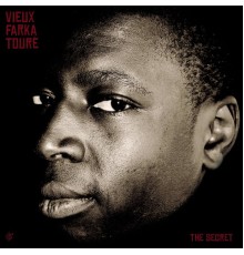 Vieux Farka Touré - The Secret