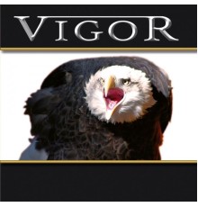 Vigor - Great Dreams