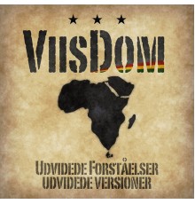 ViisDom - Udvidede Forståelser