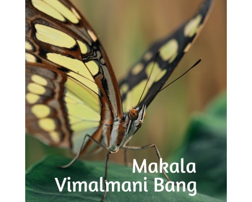 Vimalmani Bang - Makala