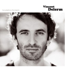 Vincent Delerm - Les piqûres d'araignée