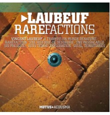 Vincent Laubeuf - Raréfactions