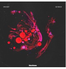 Vini Sist - Go Back