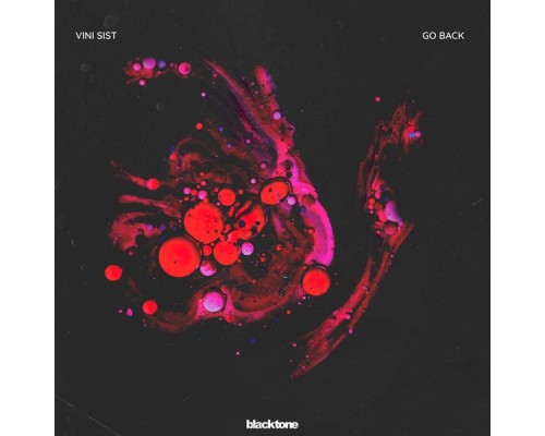 Vini Sist - Go Back