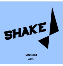 Vini Sist - What (Original Mix)