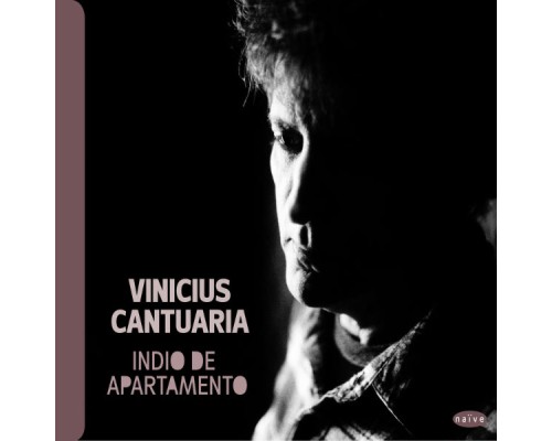 Vinicius Cantuaria - Indio de apartamento