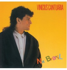 Vinicius Cantuaria - Nu Brasil