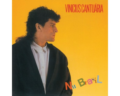 Vinicius Cantuaria - Nu Brasil