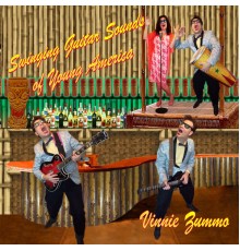Vinnie Zummo - Swinging Guitar Sounds of Young America