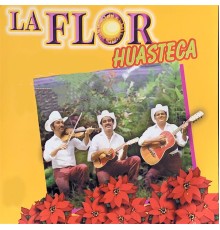 Vinuetes - La Flor Huasteca