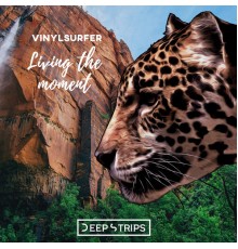 Vinylsurfer - Living The Moment