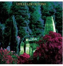 Violeta De Outono - Violeta de Outono