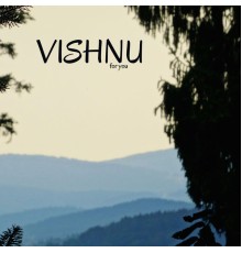 Vishnu - For You