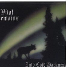 Vital Remains - Into Cold Darkness