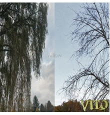 Vito - Willow