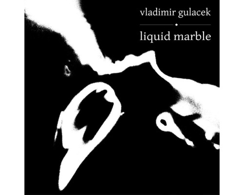 Vladimir Gulacek - Liquid Marble