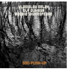 Vladislav Delay - 500 Push-Up