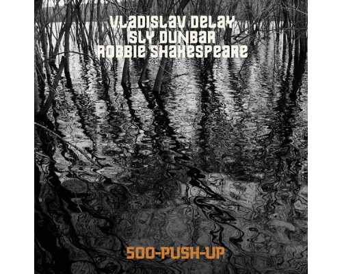 Vladislav Delay - 500 Push-Up