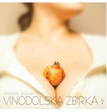 Vocal Studio Maraton - Vinodolska zbirka 2