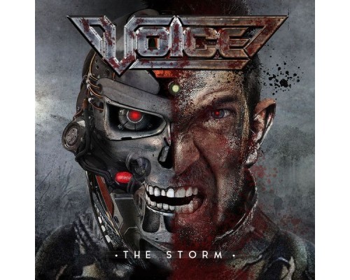 Voice - The Storm