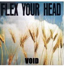 Void - Flex Your Head