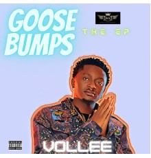 Vollee - Goosebumps