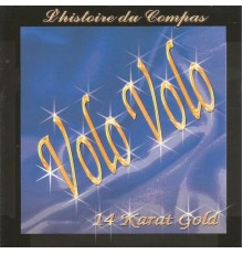 Volo Volo - L'histoire du compas 14 Karat Gold