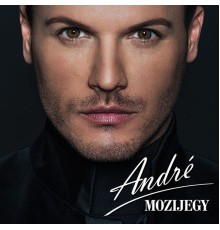 Vásáry André - Mozijegy