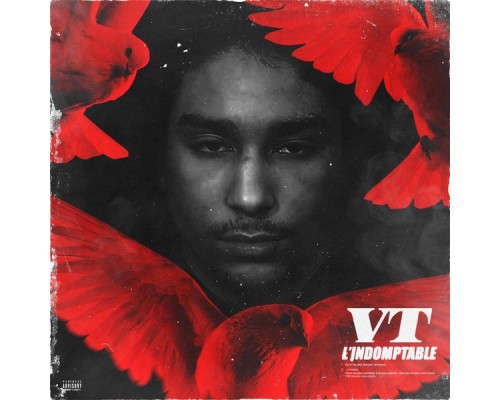 Vt - L'indomptable