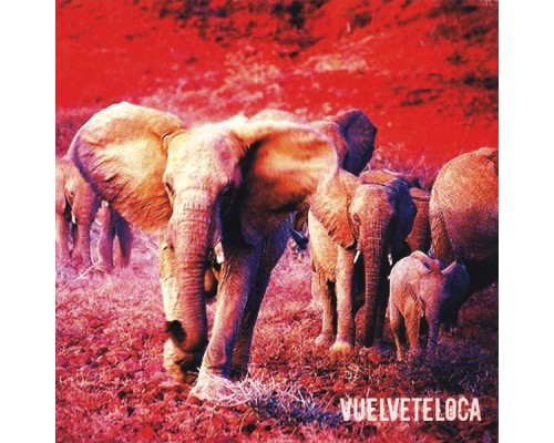 Vuelveteloca - Vuelveteloca