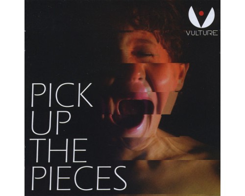 Vulture - Pick Up the Pieces