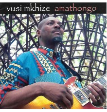 Vusi Mkhize - Amathongo