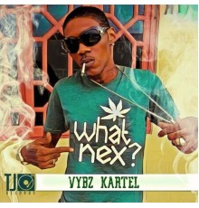 Vybz Kartel - What Nex?