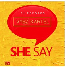 Vybz Kartel - She Say