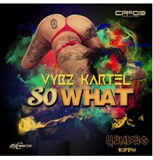 Vybz Kartel - So What