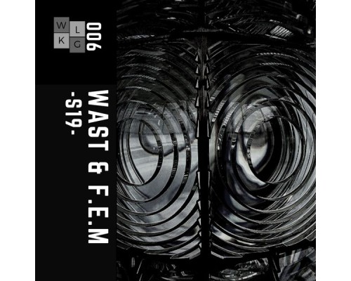 WAST, F.E.M - S19