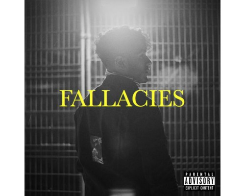 WAV - Fallacies