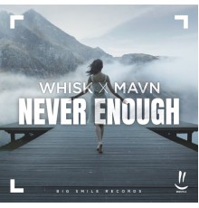 WHISK & MAVN - Never Enough